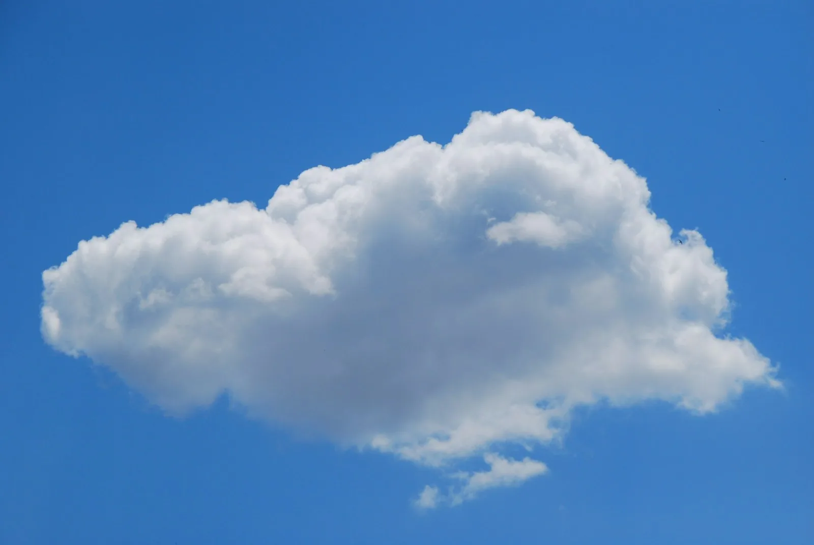 AI Cloud in 2026: The UK Business Guide