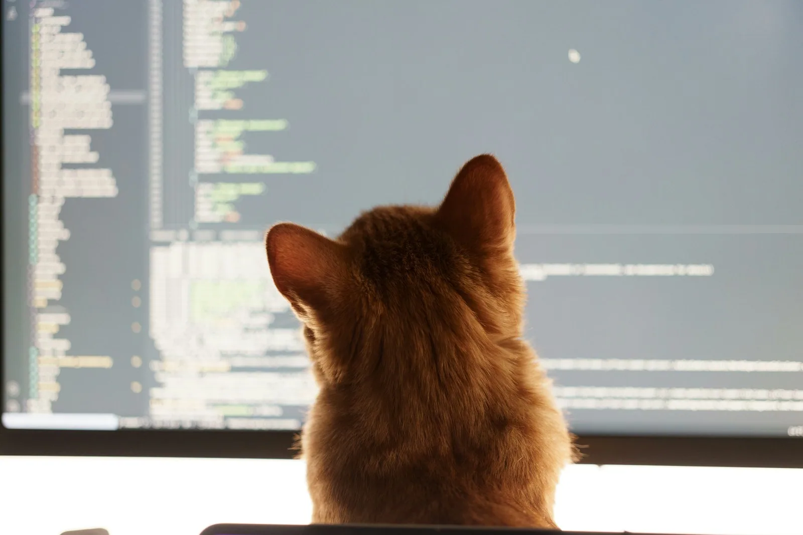Vibe Coding: What It Is, Risks and Security in 2026